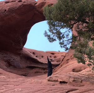 Meet your Posher, Joshua